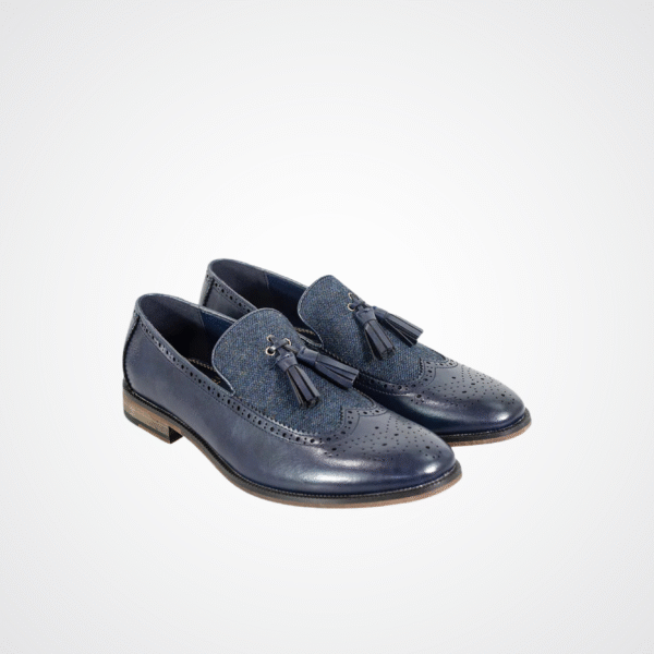Lucius Navy Loafer