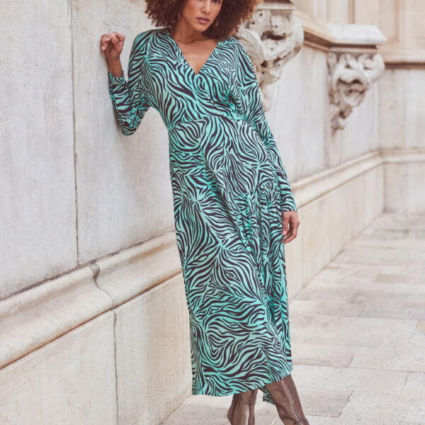 Sosandar Women's Animal Print V-Neck Midaxi Skater Wrap Dress - 6 - Green Mix, Green Mix