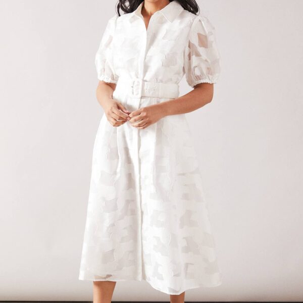 Womens Petite Burnout Floral Shirt Dress