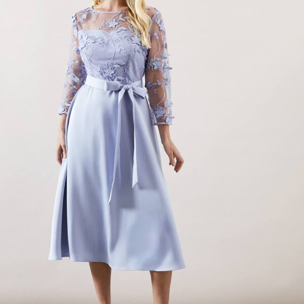 Womens Petite Occasion Satin and Mesh Overlay Fit And Flare Dress