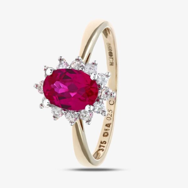 9ct Yellow Gold Ruby 0.25ct Diamond Cluster Ring PR10470Y RU N