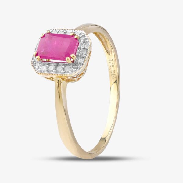 9ct Yellow Gold Ruby Cluster Ring DR1619YRU N