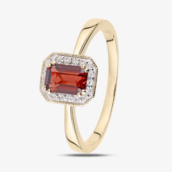 9ct Yellow Gold Garnet 0.08 Diamond Cluster Ring DR1619YGT N