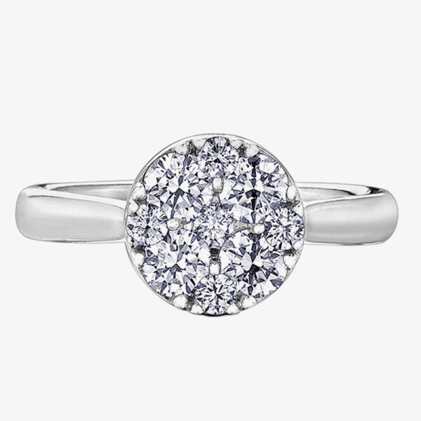 9ct White Gold 0.25ct Diamond Pave Cluster Ring 30237WG/25-9 M