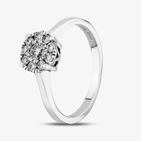 9ct White Gold 0.50ct Diamond Cluster Ring THR2963-50 S
