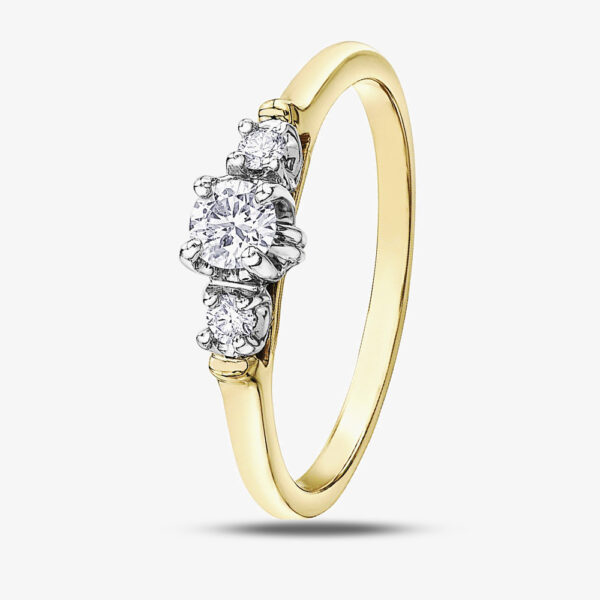 9ct Two Colour Gold 0.25ct Diamond Ring 2030YW/25-10 L