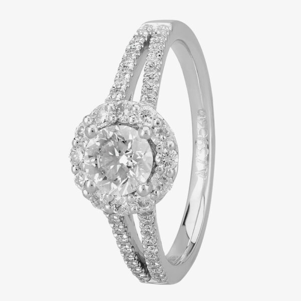 Signature Collection Platinum GIA Certificated Diamond Cluster Ring DSC64(6.5)1.00CT PLUS- E/VS1/1.74ct