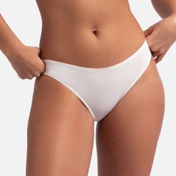 2 PACK ARISTA BRIEF