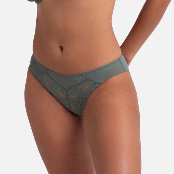 ARISTA BRIEF
