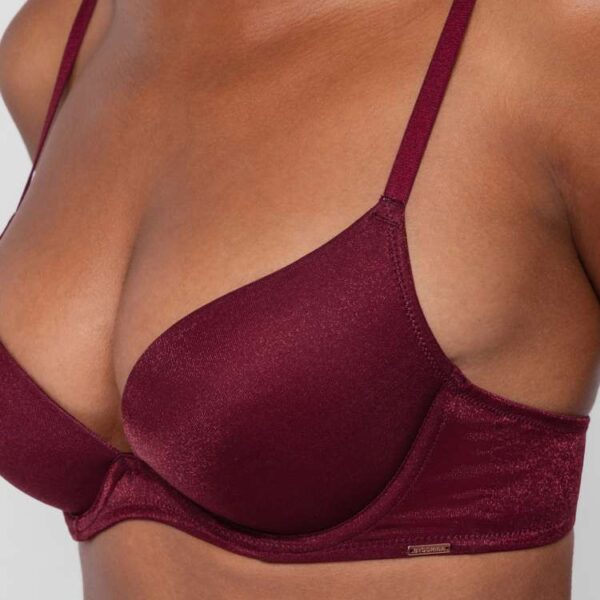 ORIGINS SHIMMER MESH PUSH UP PLUNGE BRA