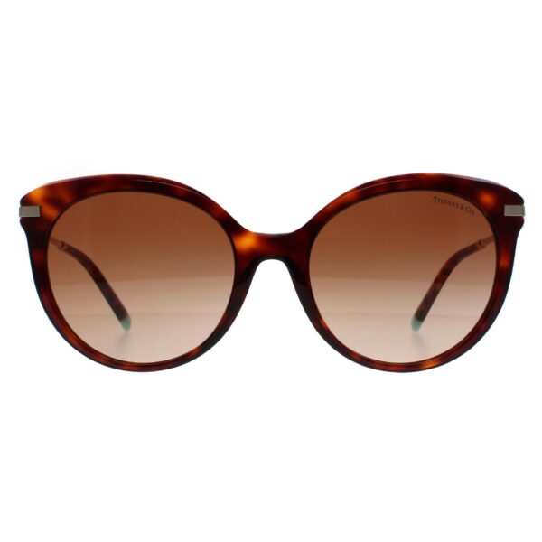 Tiffany & Co Cat Eye Womens Havana Brown Gradient TF4189 - One Size