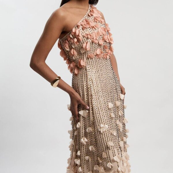 Karen Millen Women's Petite Floral Applique One Shoulder Woven Maxi Dress in Blush | Size: 10