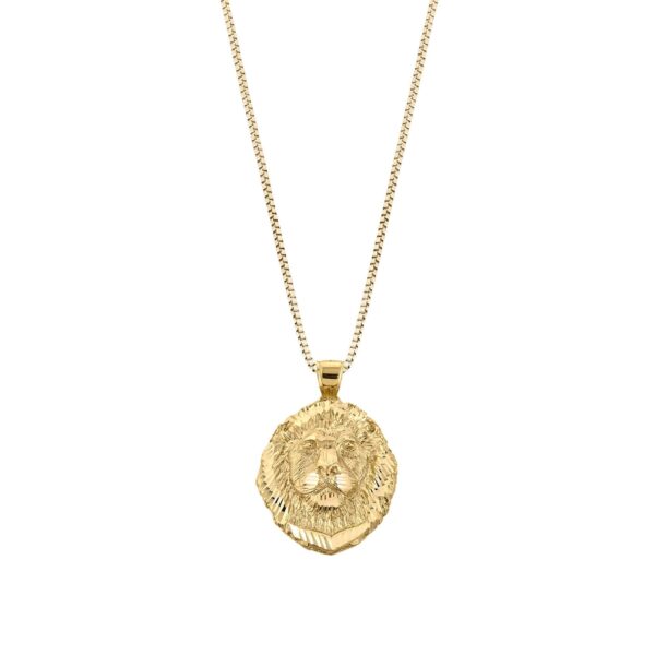 Men's Lion Head Pendant Necklace in 9ct Gold