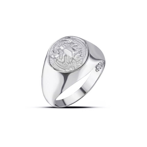 Cancer Zodiac Hammered Zodiac Ring in 9ct White Gold