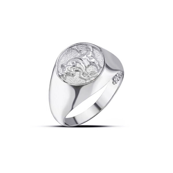 Taurus Zodiac Hammered Zodiac Ring in 9ct White Gold