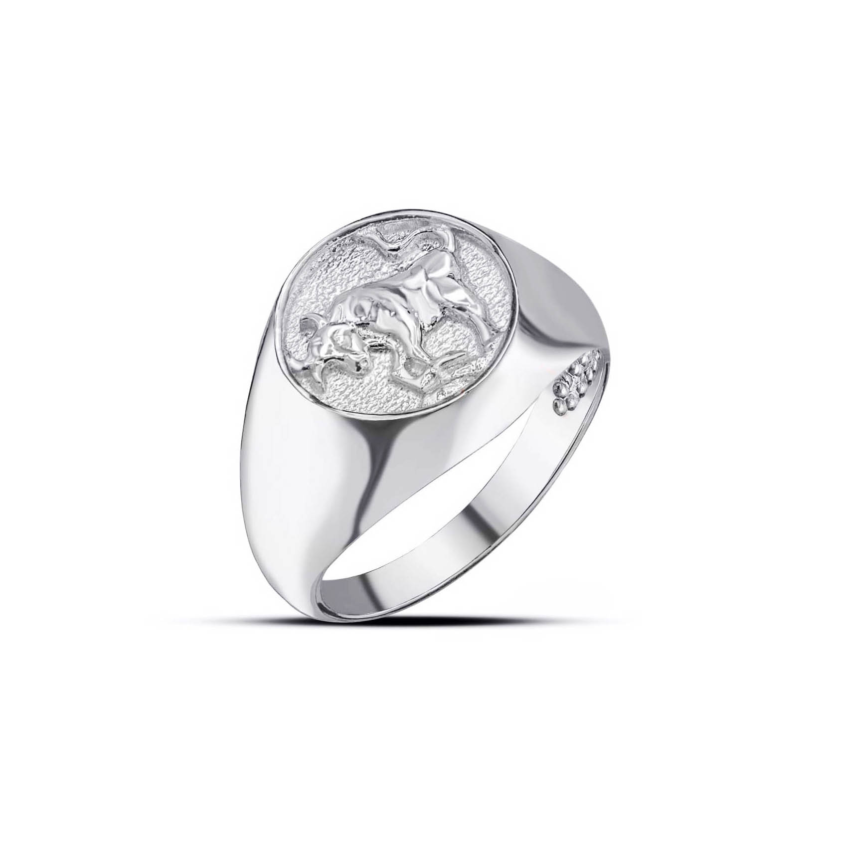 Taurus Zodiac Hammered Zodiac Ring in 9ct White Gold
