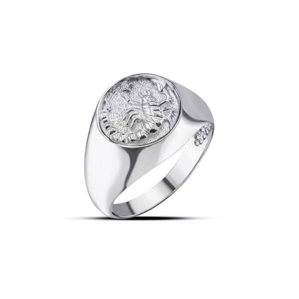 Scorpio Zodiac Hammered Zodiac Ring in 9ct White Gold