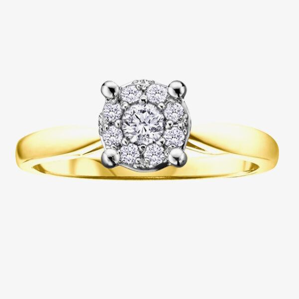 9ct Yellow Gold 0.30ct Diamond Round Cluster Ring 1903/30-9 O