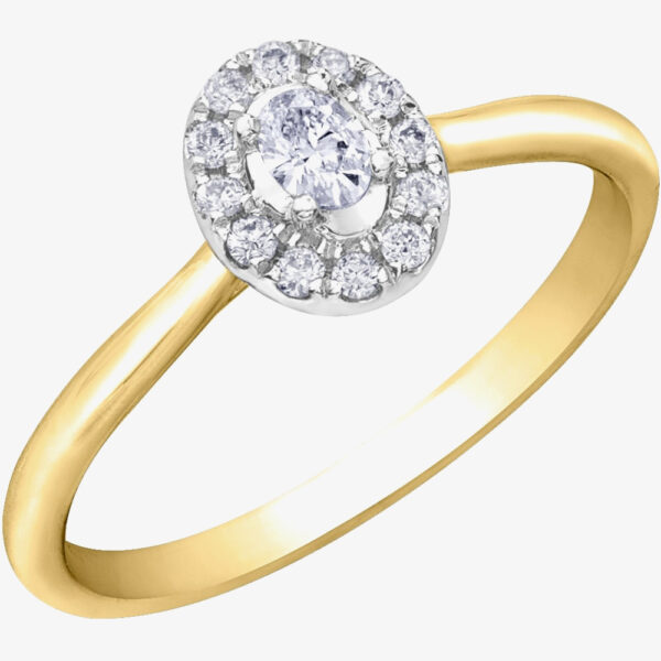 9ct Yellow Gold 0.20ct Diamond Ring 30616YW/20-10 Q